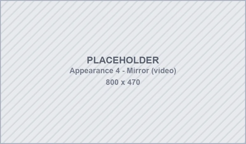 Mirror