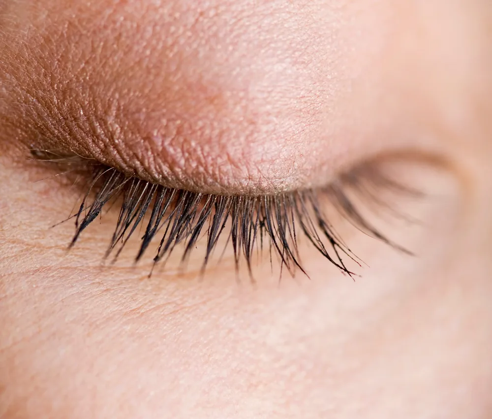 Close-up of a closed eyelid and lashes