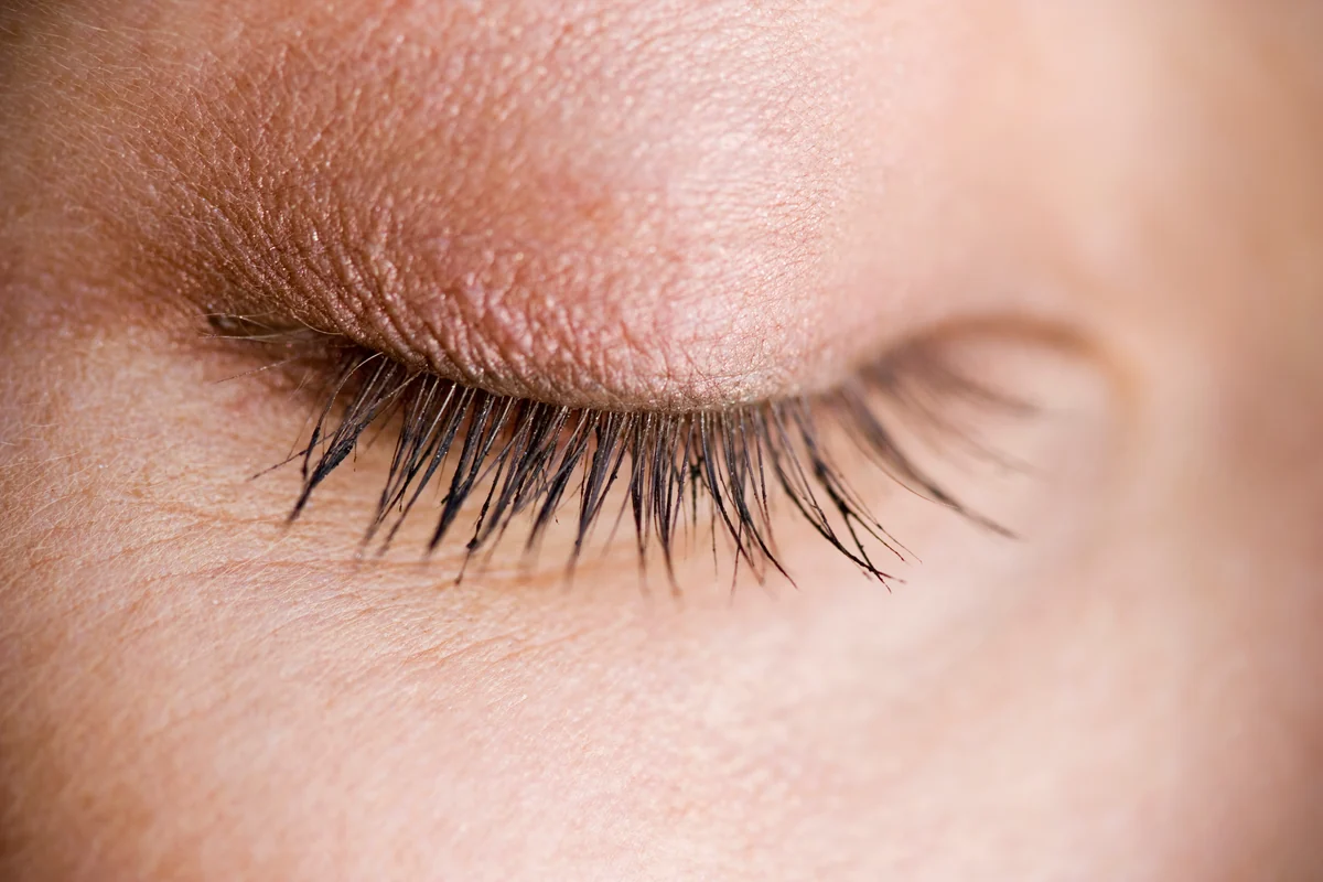 Close-up of a closed eyelid and lashes